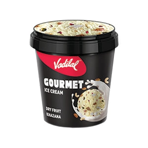 Vadilal Gourmet Ice Cream Dryfruit Khazana