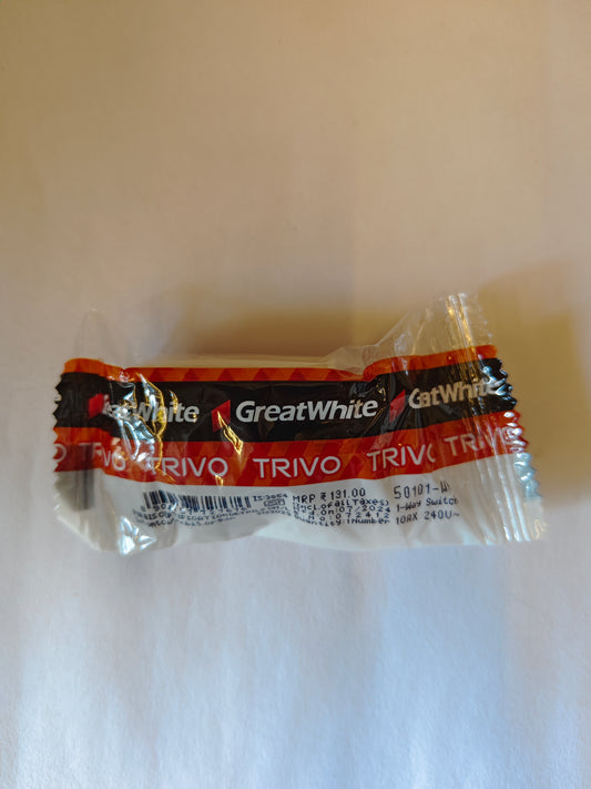 G.W Trivo 6amp Switch